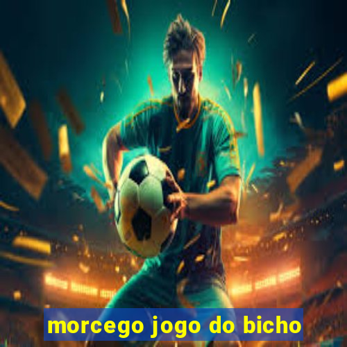 morcego jogo do bicho